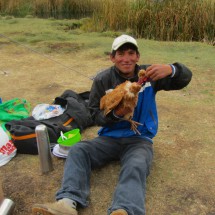 Susman with a chicken